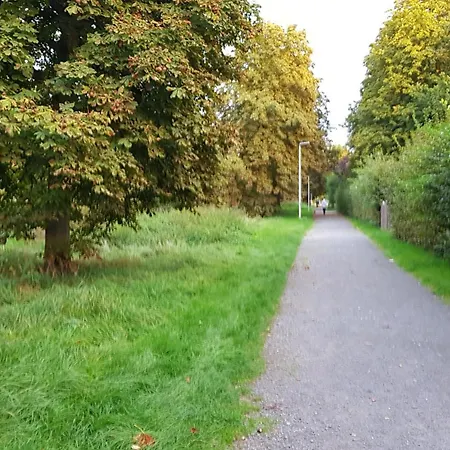 Fewo Steingasse Schwalmstadt Extérieur photo