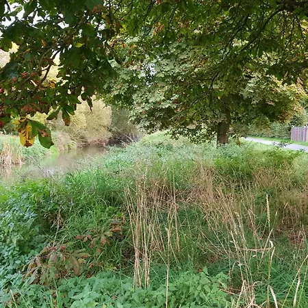 Fewo Steingasse Schwalmstadt Extérieur photo
